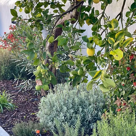 Grande Maison Familiale Centre Village Aldeia de Irmãos